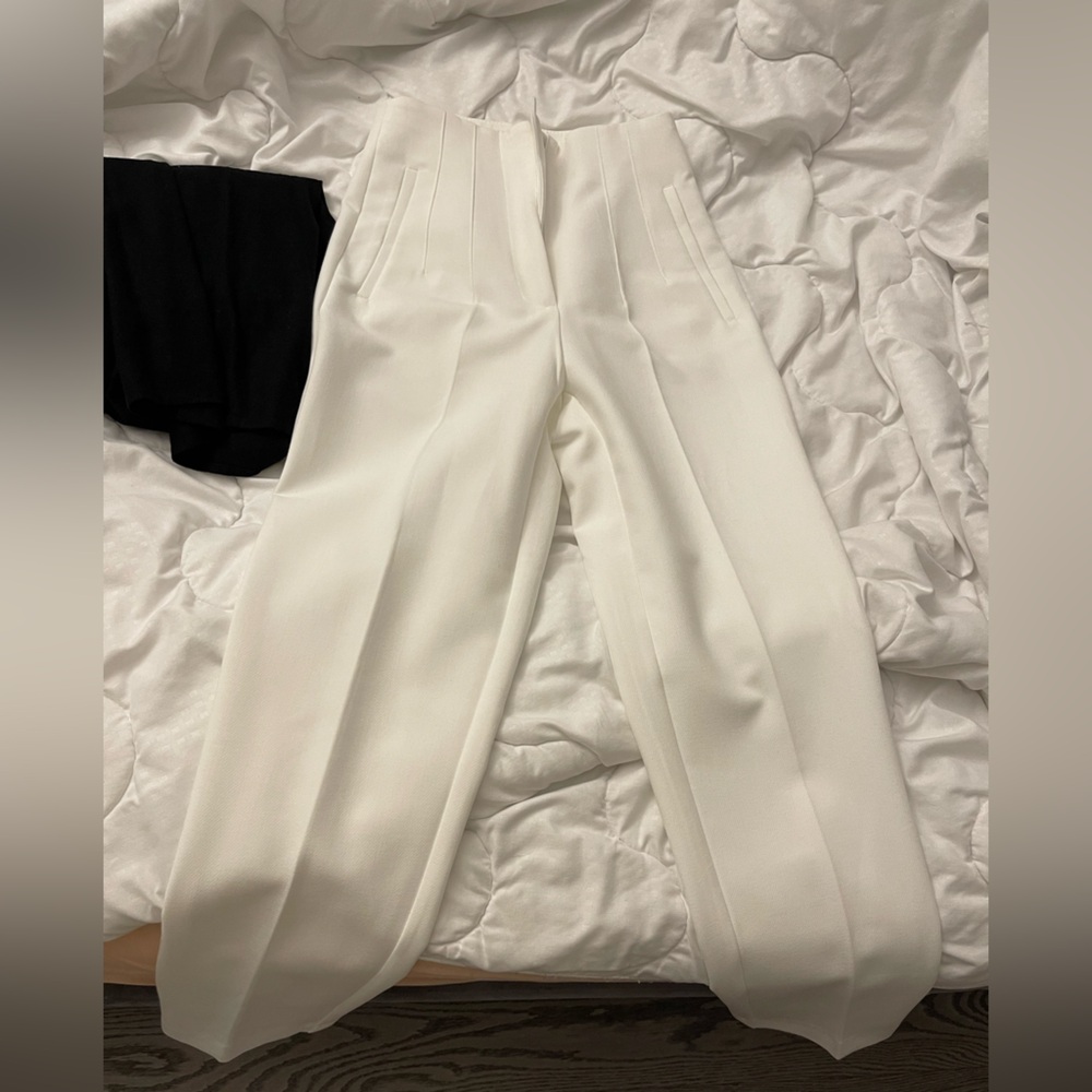 Zara High Waist Pants